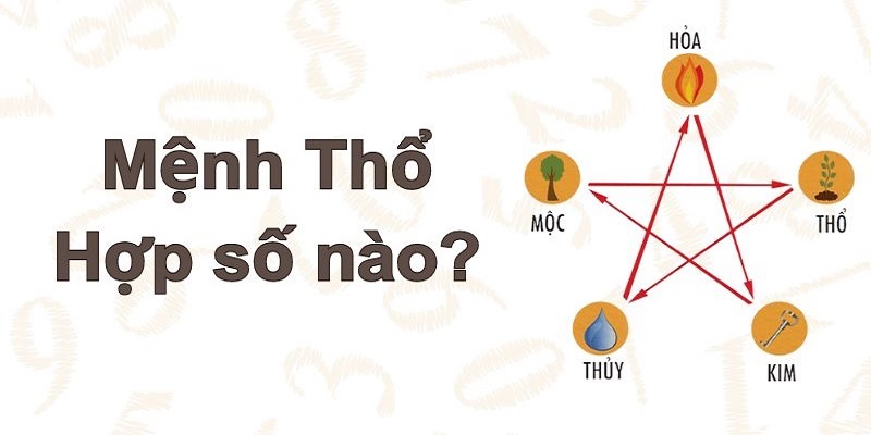 Avt mệnh thổ hợp số nào