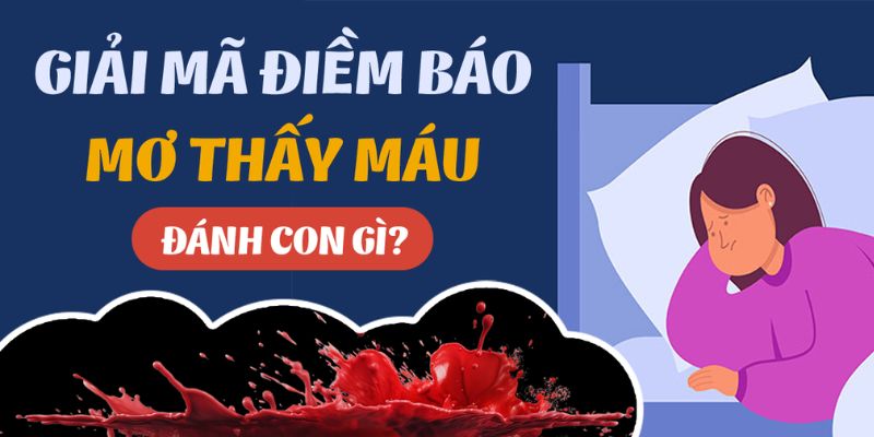 Thumb mơ thấy máu đánh đề con gì