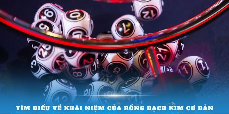 Tìm hiểu về khái niệm của Rồng Bạch Kim cơ bản