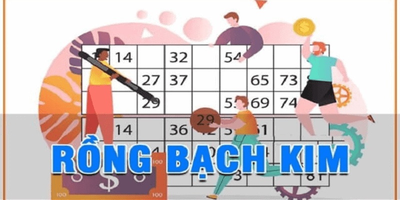 Các bước soi cầu Rồng Bạch Kim 666 cơ bản và chuẩn nhất